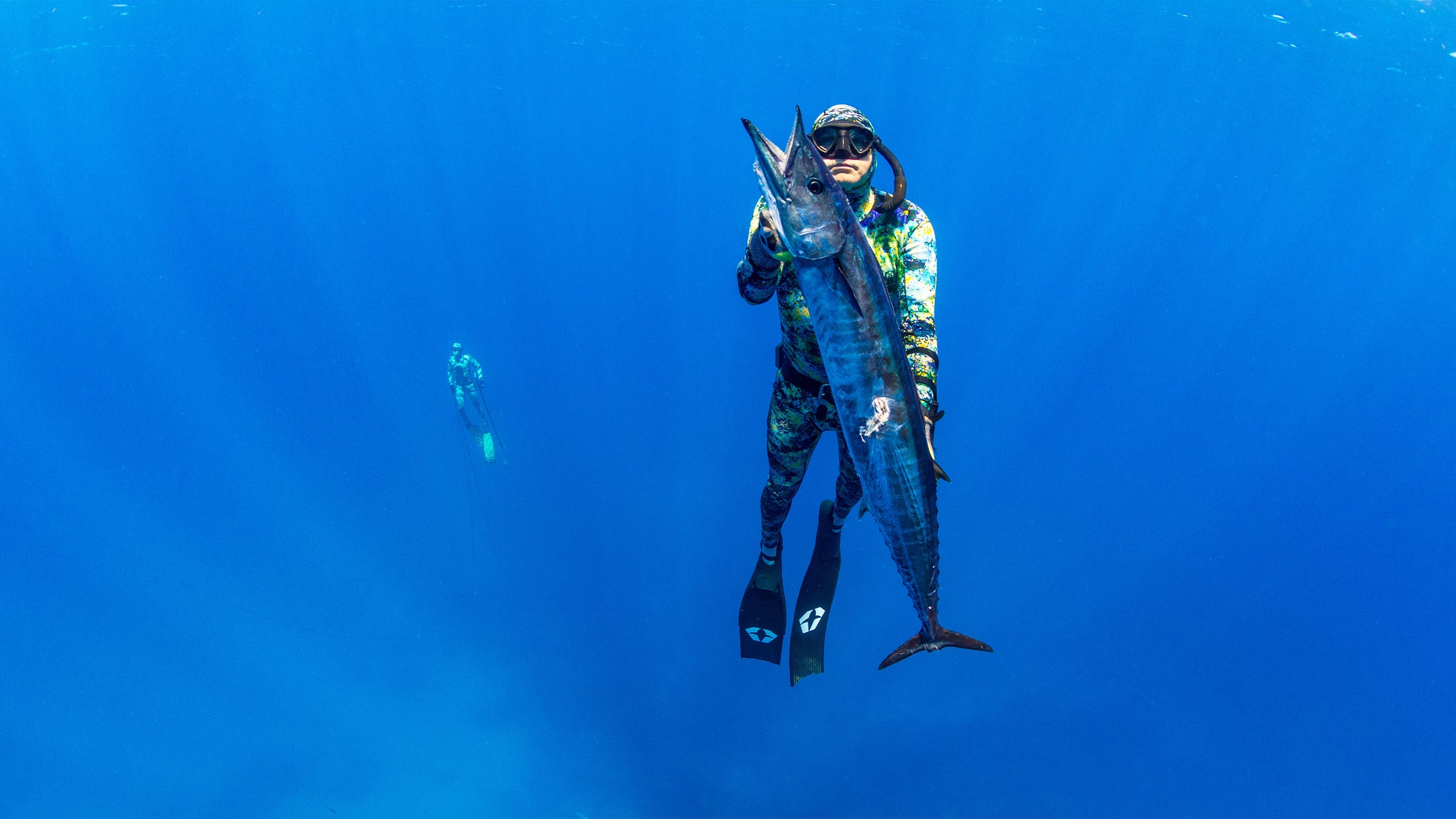 JBL Spearguns, Polespears, & Dive Gear to Spearfish Freedive & Scuba